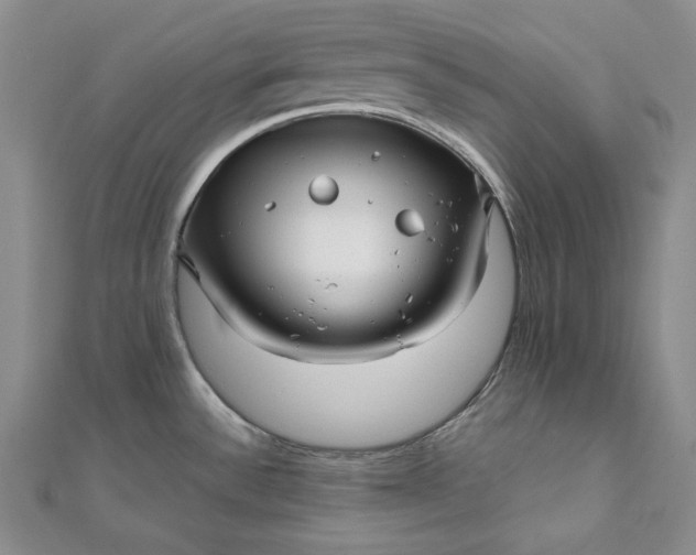 X0000111841532200908061243