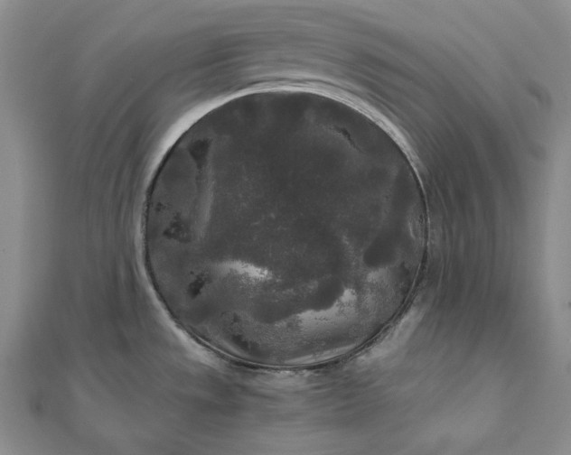 X0000111841533200908061243