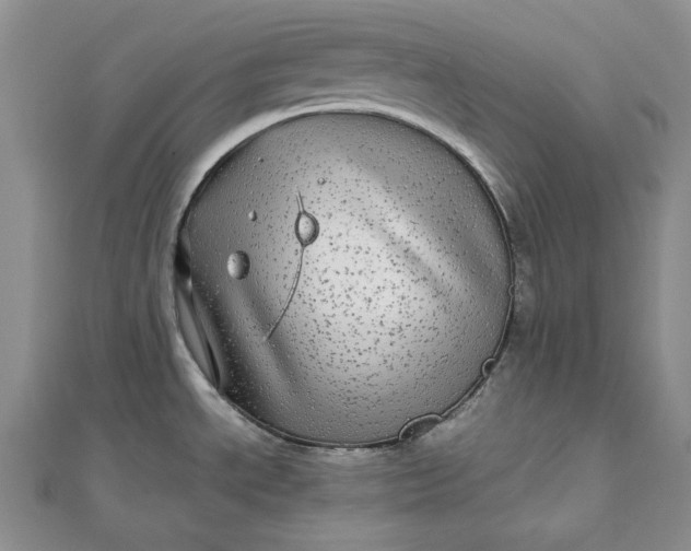 X0000111841534200908061243