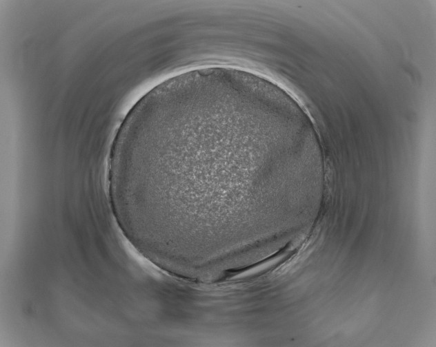 X0000111841535200908061243