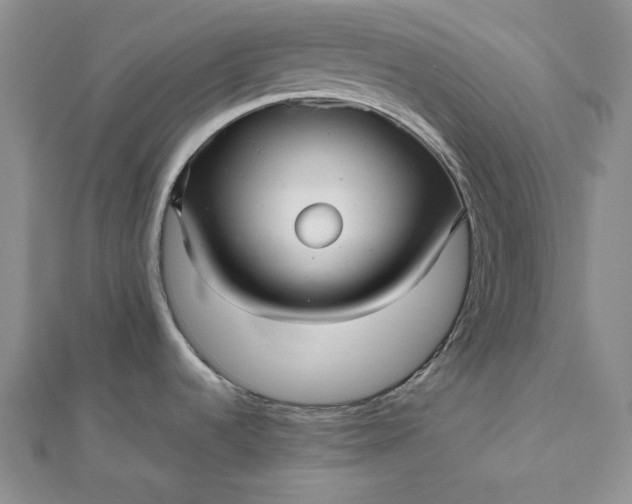 X0000111841536200908061243