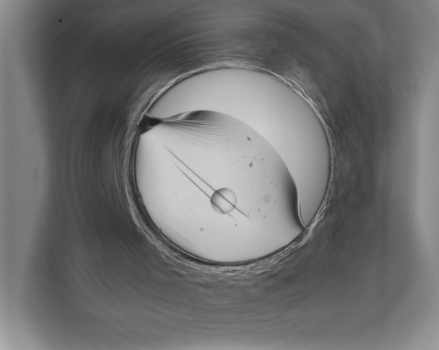 X0000111840001200908131428