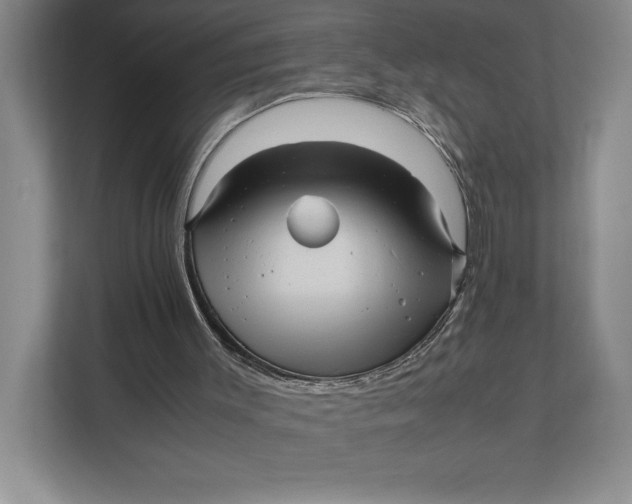 X0000111840003200908131428