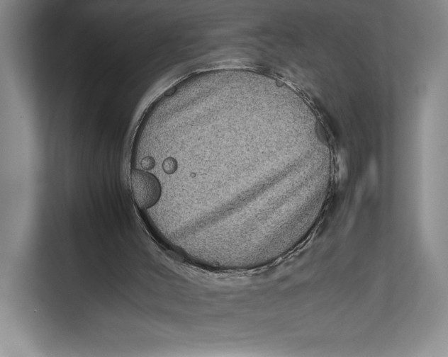 X0000111840004200908131428