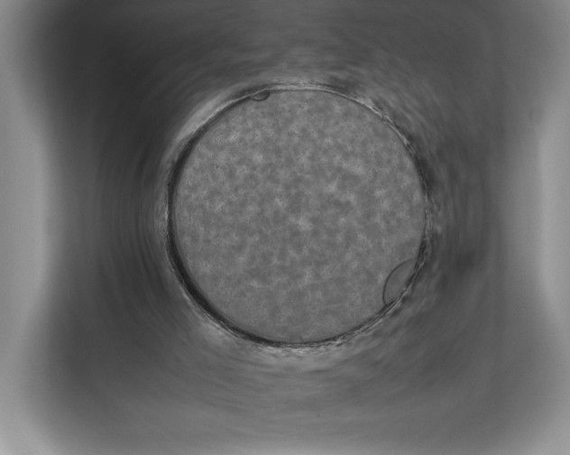 X0000111840005200908131428