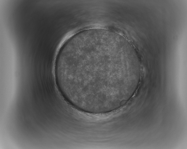 X0000111840006200908131428