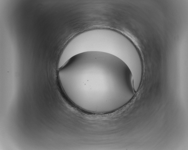 X0000111840009200908131428