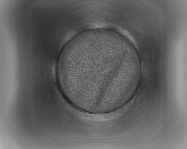 X0000111840010200908131428