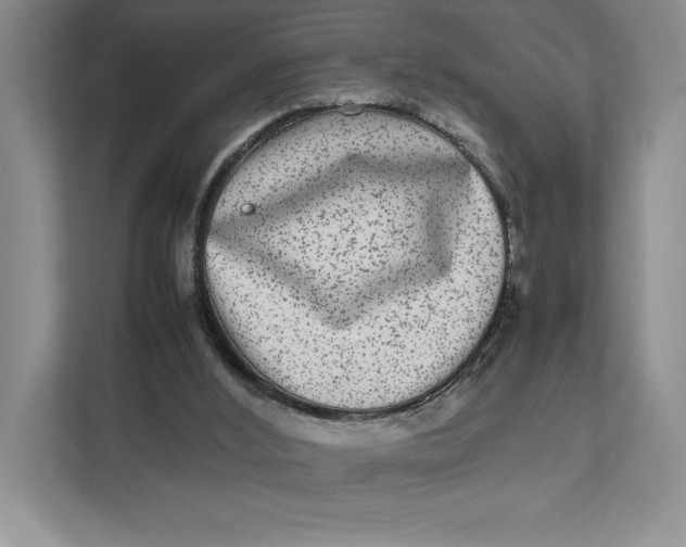 X0000111840012200908131428