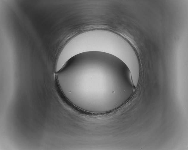 X0000111840013200908131428