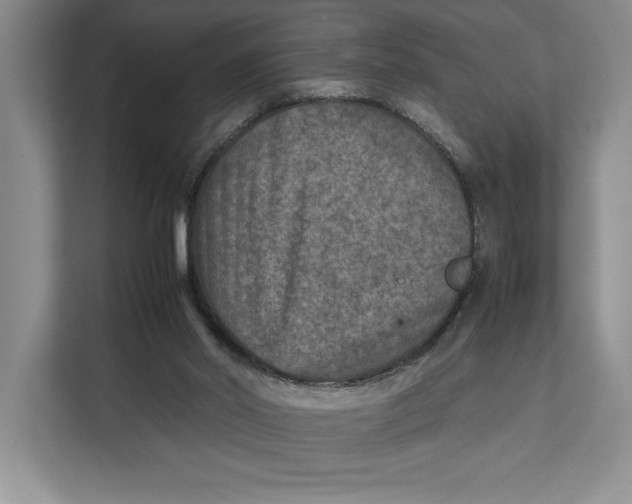 X0000111840014200908131428