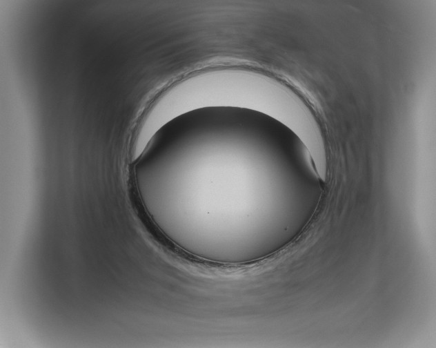 X0000111840015200908131428