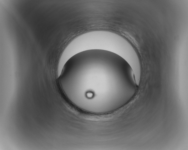 X0000111840017200908131428