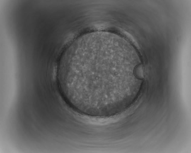 X0000111840018200908131428