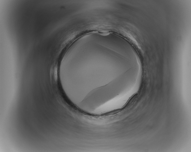 X0000111840019200908131428