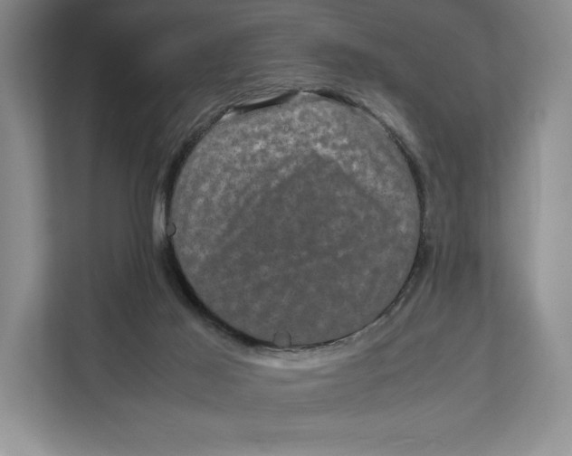 X0000111840021200908131428