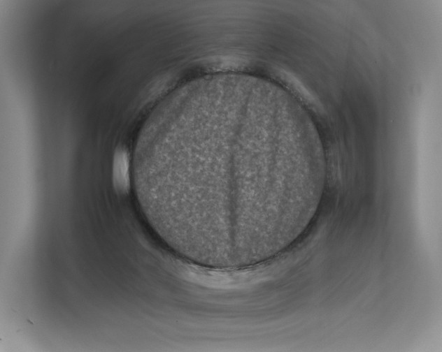 X0000111840022200908131428