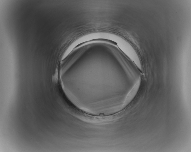 X0000111840027200908131428