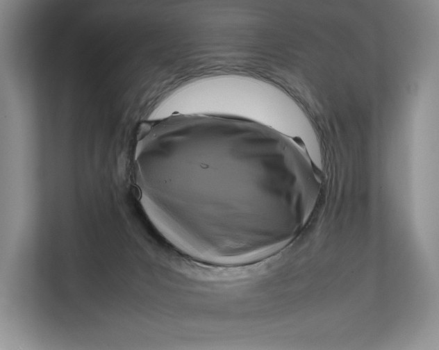 X0000111840031200908131428