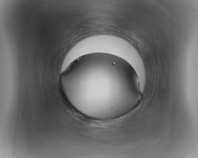 X0000111840033200908131428