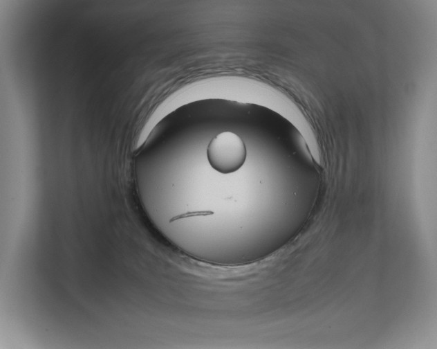 X0000111840035200908131428