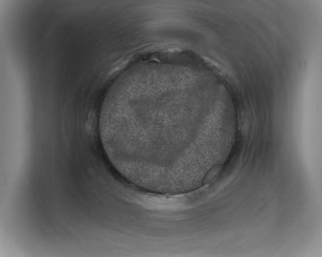 X0000111840036200908131428