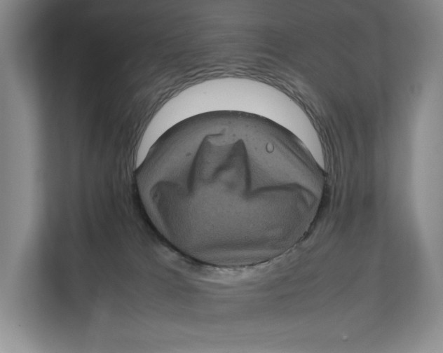 X0000111840037200908131428