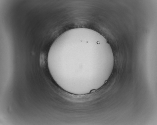 X0000111840038200908131428