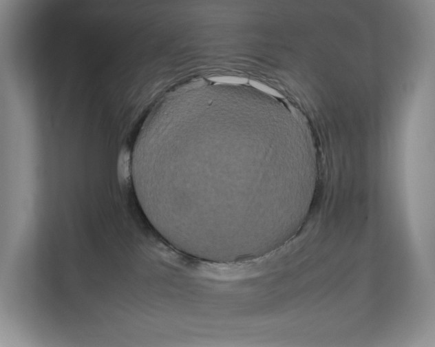 X0000111840041200908131428