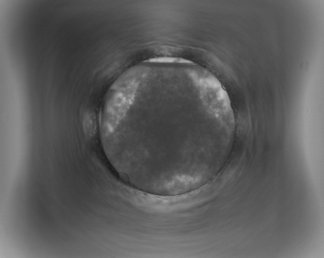 X0000111840043200908131427