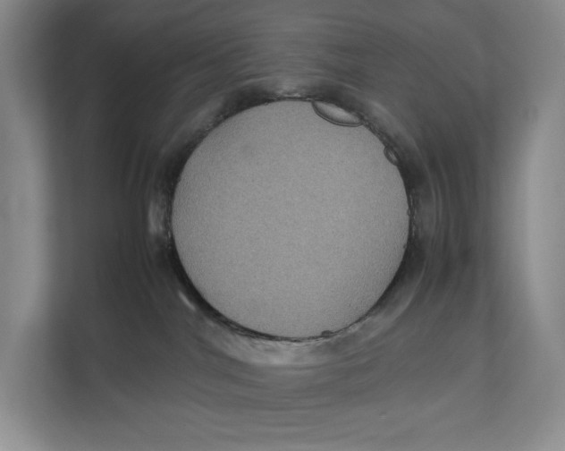 X0000111840044200908131427