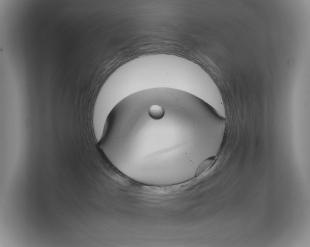 X0000111840045200908131427