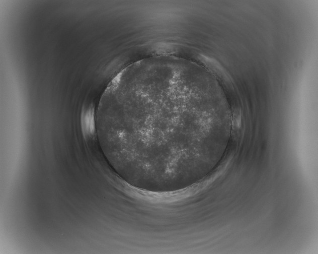 X0000111840046200908131427