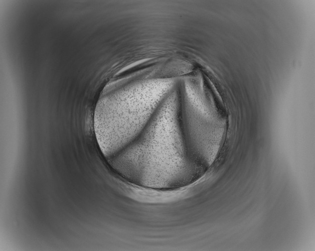 X0000111840048200908131427