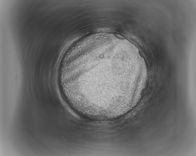 X0000111840049200908131427