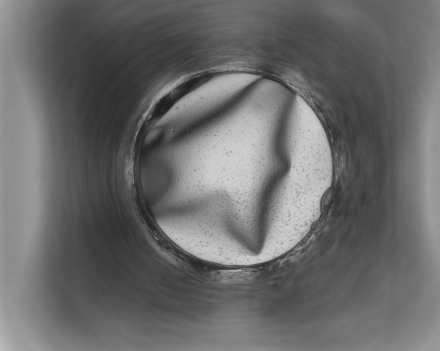 X0000111840050200908131427