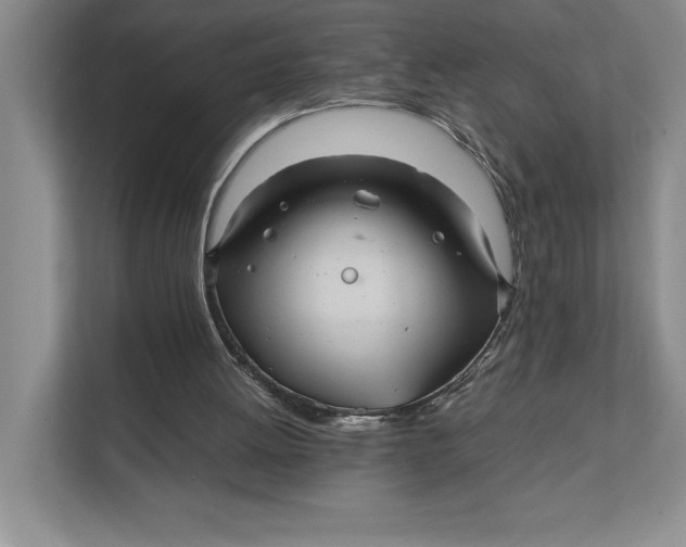 X0000111840052200908131427