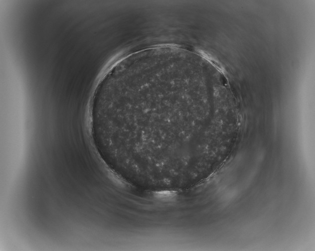 X0000111840053200908131427