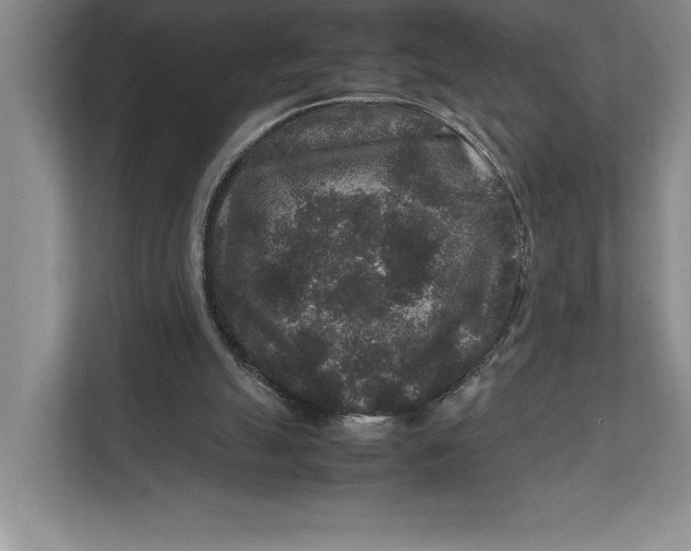 X0000111840055200908131427