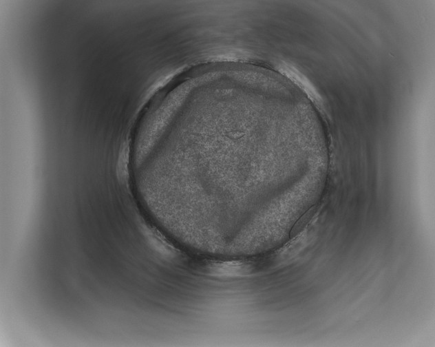 X0000111840058200908131427