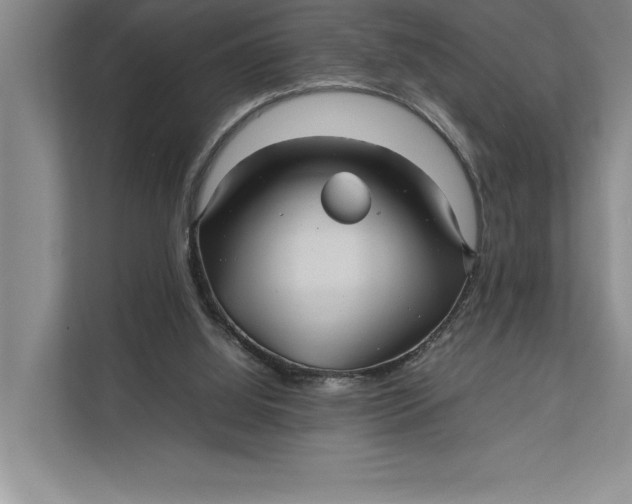 X0000111840060200908131427