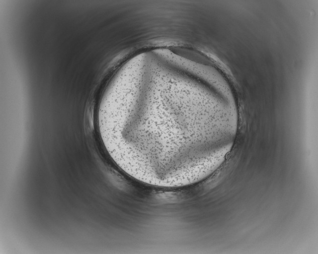 X0000111840062200908131427