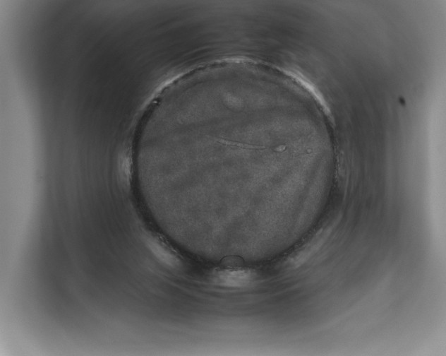 X0000111840063200908131427