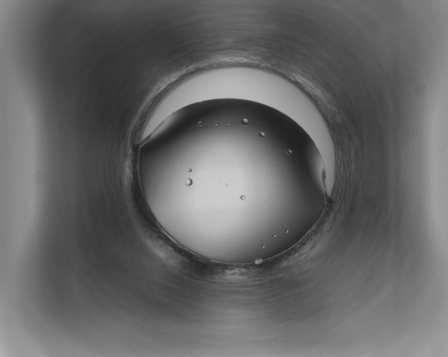 X0000111840064200908131427