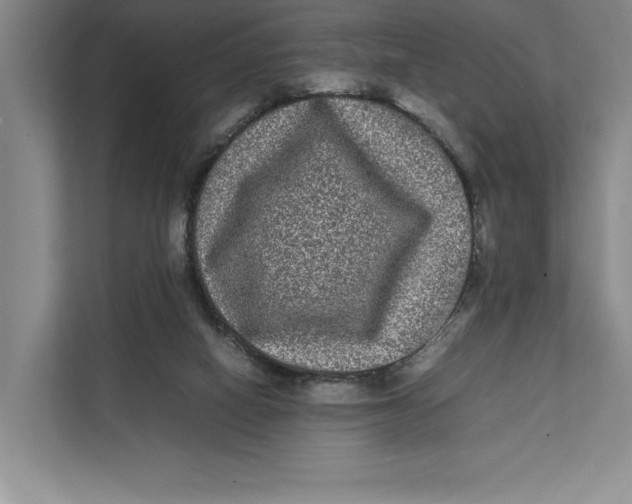 X0000111840066200908131427