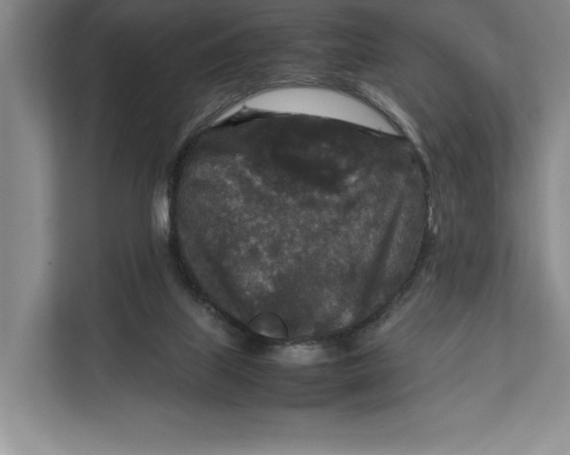 X0000111840067200908131427