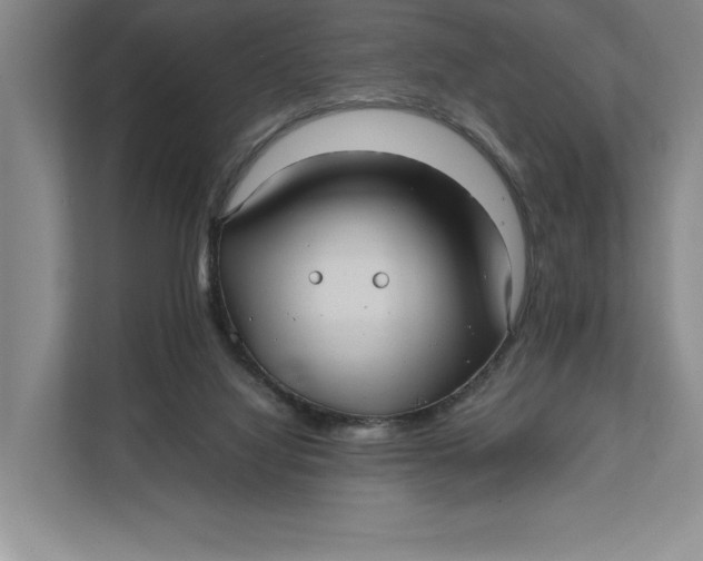 X0000111840068200908131427