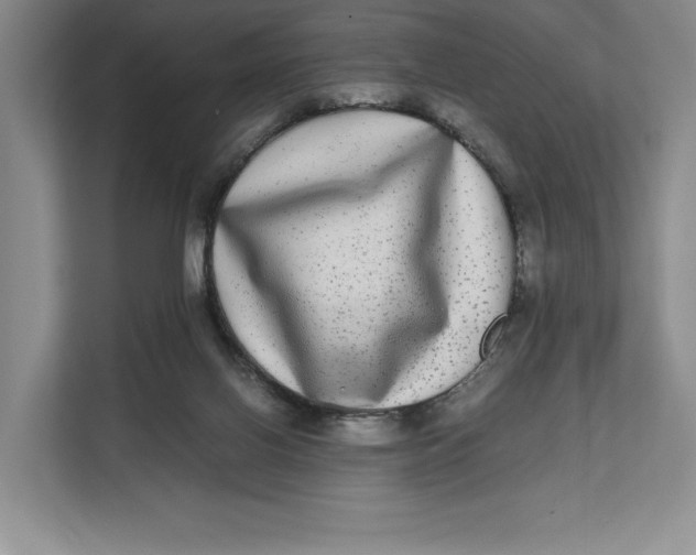 X0000111840070200908131427