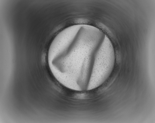 X0000111840071200908131427