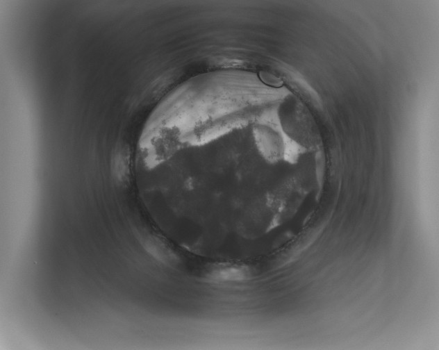 X0000111840073200908131427